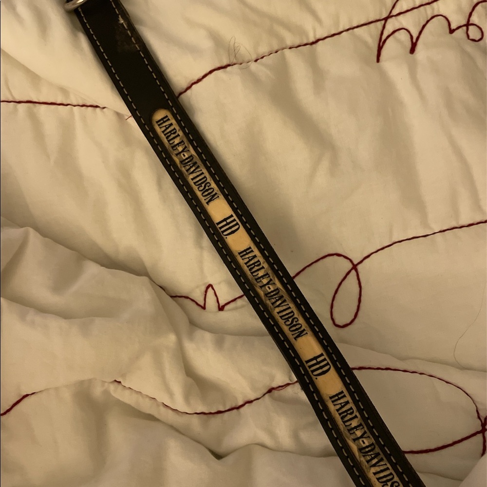 Harley Davidson 21” Dog collar.